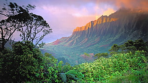 Majestic mountain ridge at sunset with lush tropical jungle and dramatic clouds HD wallpaper