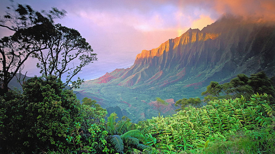 Majestic mountain ridge at sunset with lush tropical jungle and dramatic clouds HD wallpaper