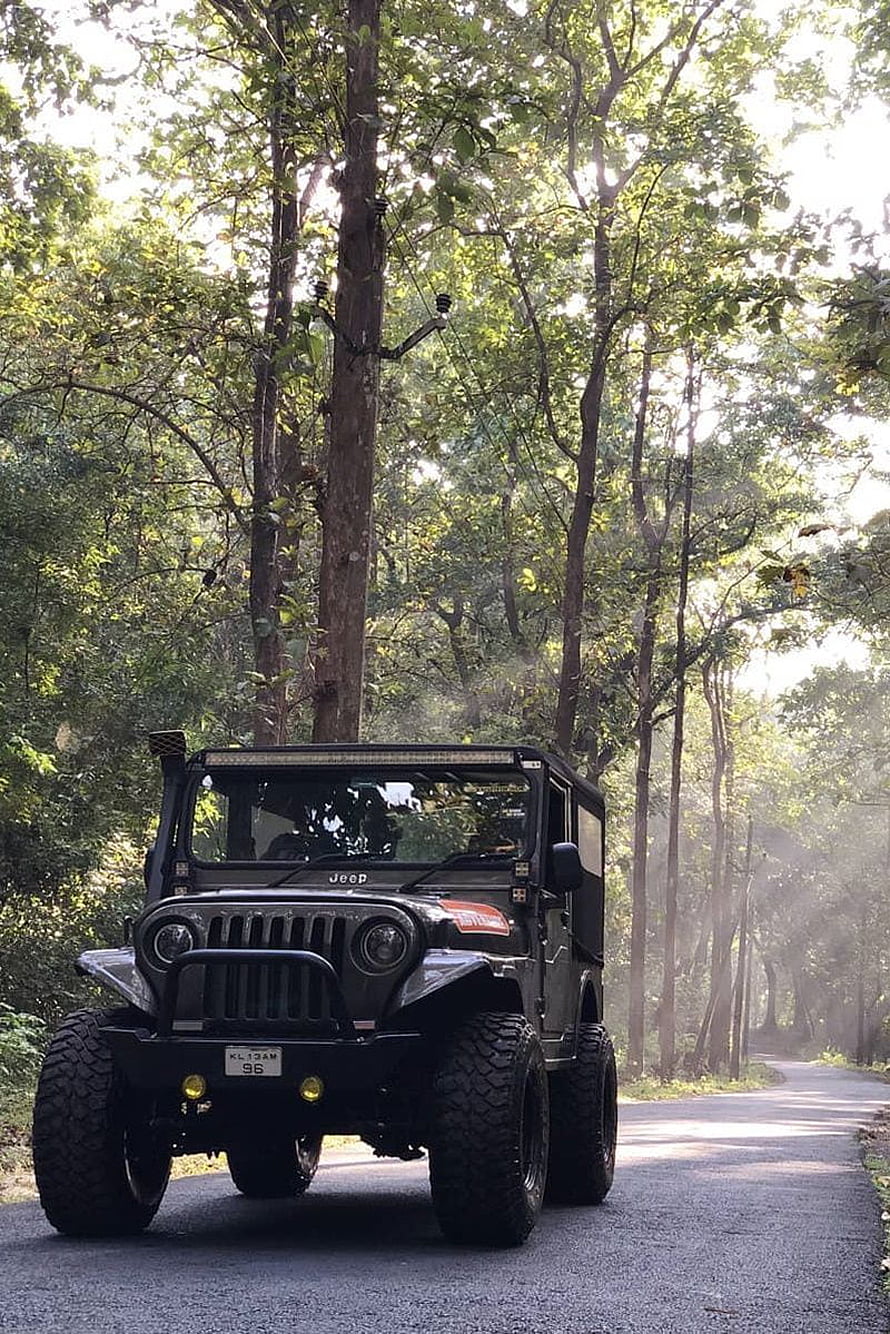 Modified Mahindra Thar Offroad Jeep on a Forest Road HD phone wallpaper