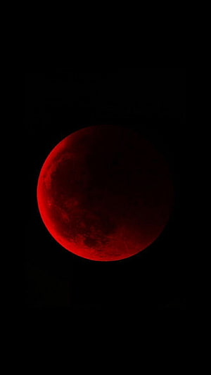 Blood Moon Eclipse Against Deep Black Night Sky HD phone wallpaper