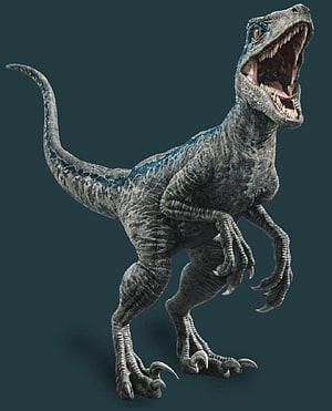Blue Velociraptor from Jurassic World in a roaring pose with detailed grey and blue scales HD phone wallpaper