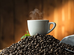 Steaming White Coffee Cup Resting on a Pile of Roasted Beans with Mint Garnish HD wallpaper