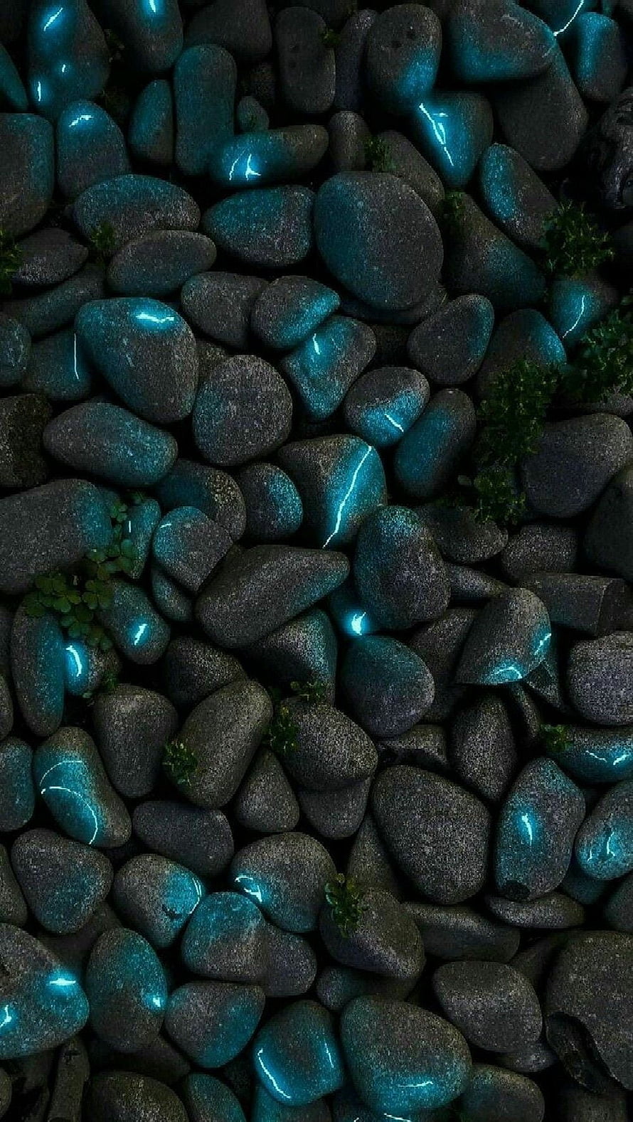Dark Wet River Stones with Cyan Bioluminescent Glow and Small Green Plants HD phone wallpaper