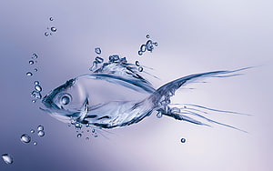 Sculpted Water Fish with Bubbles and Flowing Tails on a Soft Gradient Background HD wallpaper