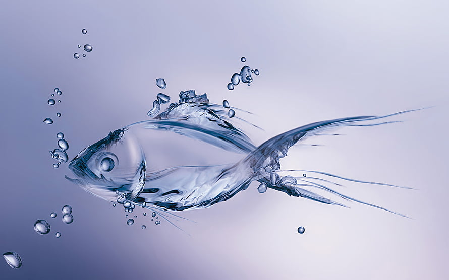 Sculpted Water Fish with Bubbles and Flowing Tails on a Soft Gradient Background HD wallpaper