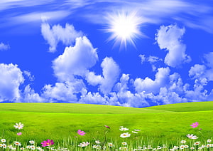 Vibrant Green Meadow with Wildflowers Under a Bright Blue Sky and Sun HD wallpaper