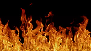 Vibrant Orange Flames Rising Against a Dark Black Background HD wallpaper