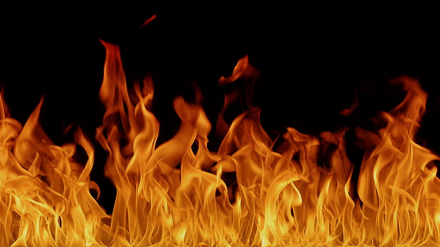 Vibrant Orange Flames Rising Against a Dark Black Background HD wallpaper