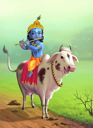 Krishna Playing Flute While Riding a Cow in a Lush Green Pasture HD phone wallpaper