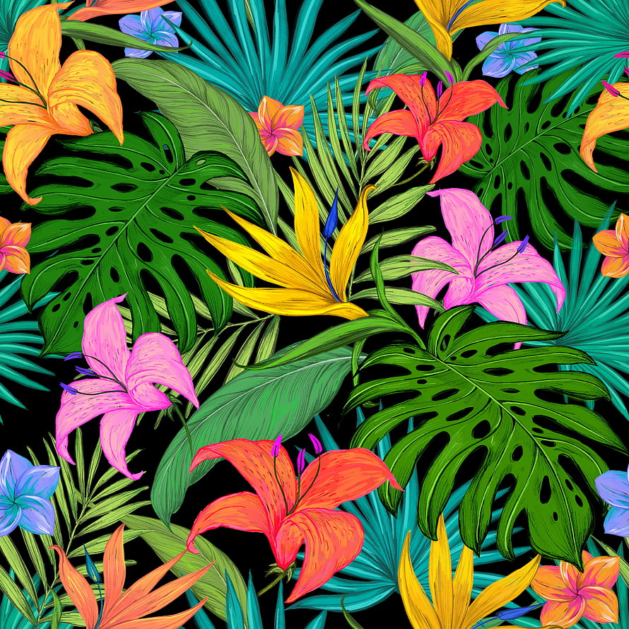 Vibrant tropical floral pattern with lilies, monstera leaves, and bird of paradise on black background HD phone wallpaper