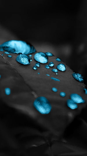 Macro Photography of Cyan Water Droplets on a Dark Leaf Surface HD phone wallpaper