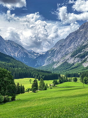 Alpine Valley Landscape With Lush Green Meadows, Dense Forests, And Rocky Mountain Peaks Under A Cloudy Sky HD phone wallpaper