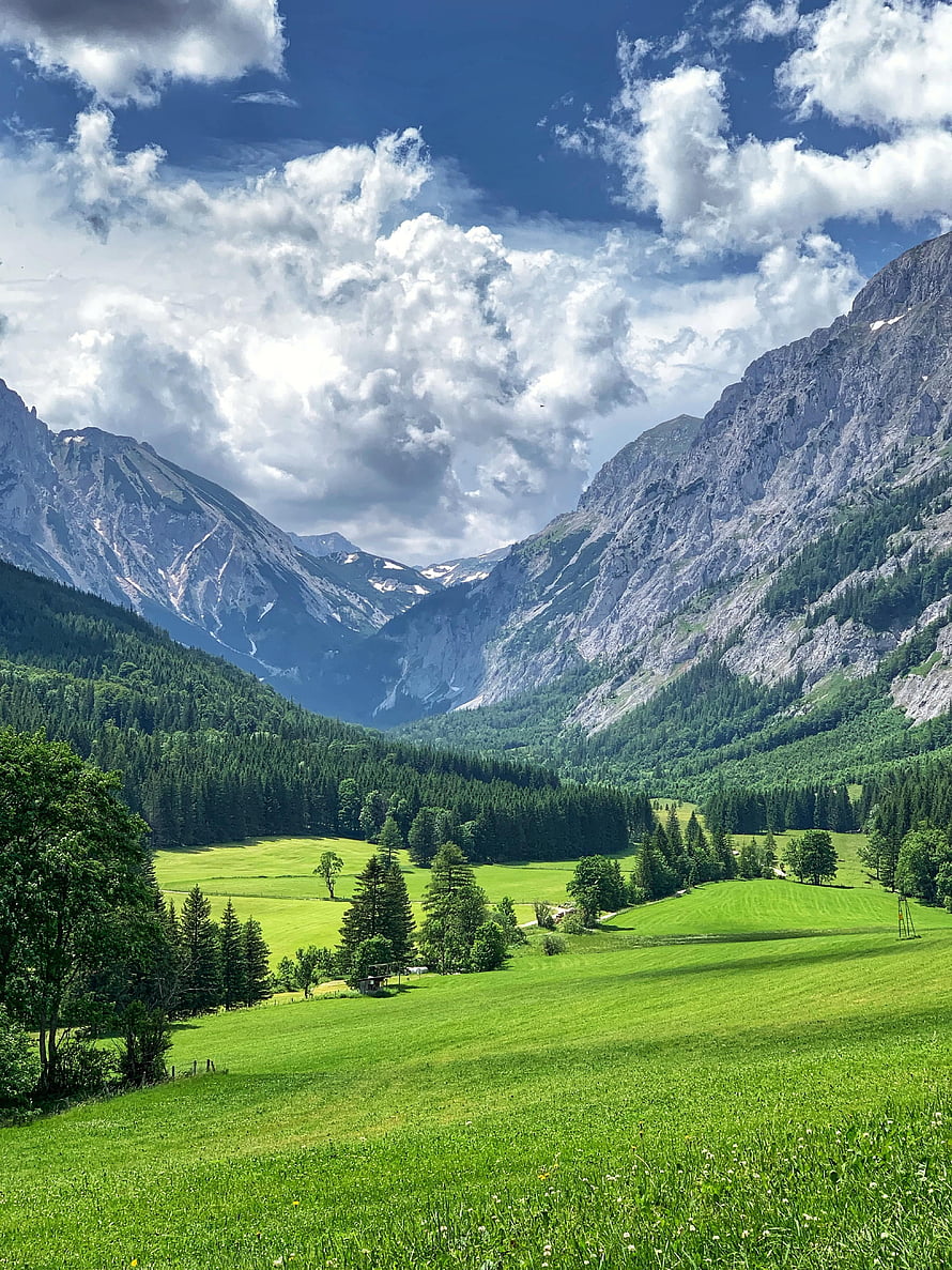 Alpine Valley Landscape With Lush Green Meadows, Dense Forests, And Rocky Mountain Peaks Under A Cloudy Sky HD phone wallpaper