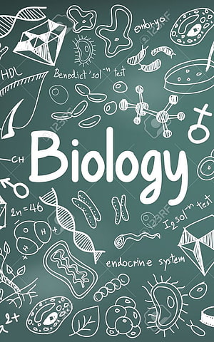 Biology Science Doodle Chalkboard with DNA, Cells, and Lab Icons HD phone wallpaper