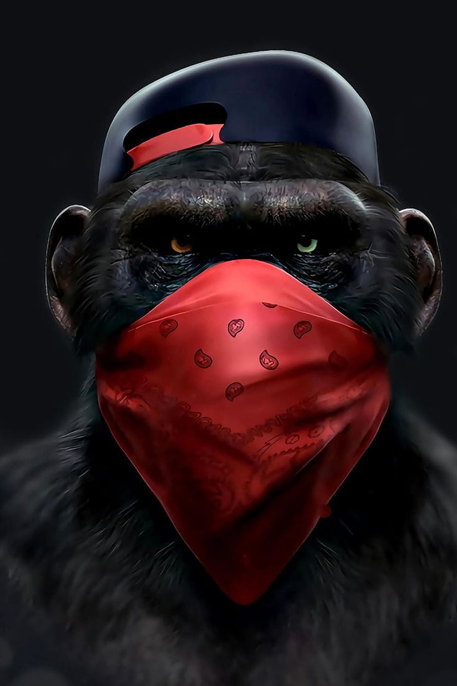 Stylized Digital Portrait of a Gorilla Wearing a Red Bandana and Black Cap HD phone wallpaper