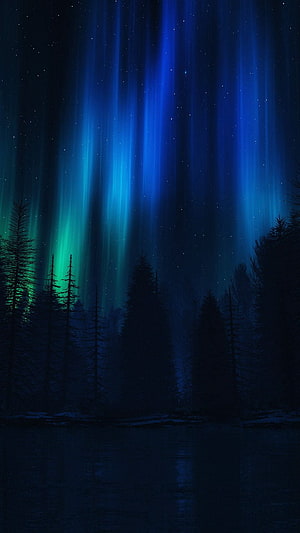 Vibrant Blue and Green Aurora Borealis Over a Dark Pine Forest and Lake at Night HD phone wallpaper