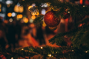 Glowing red ornament on a pine branch with warm bokeh lights in a festive winter night scene HD wallpaper