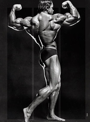 Arnold Schwarzenegger Classic Bodybuilding Pose in Black and White HD phone wallpaper