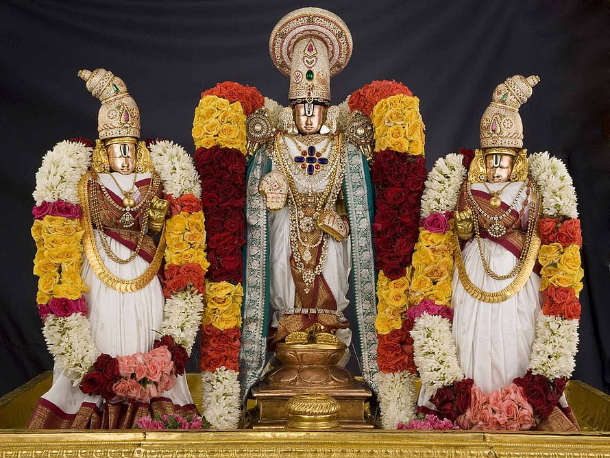 Sri Venkateswara Swamy Deity with Consorts Adorned in Traditional Temple Garlands HD wallpaper