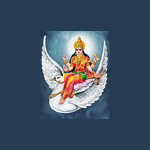 Brahmani Maa Riding a White Swan with Four Arms and Golden Crown HD phone wallpaper