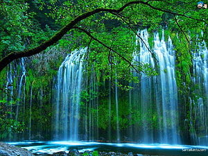 Lush Green Waterfall Cascading Through Dense Forest Foliage HD wallpaper