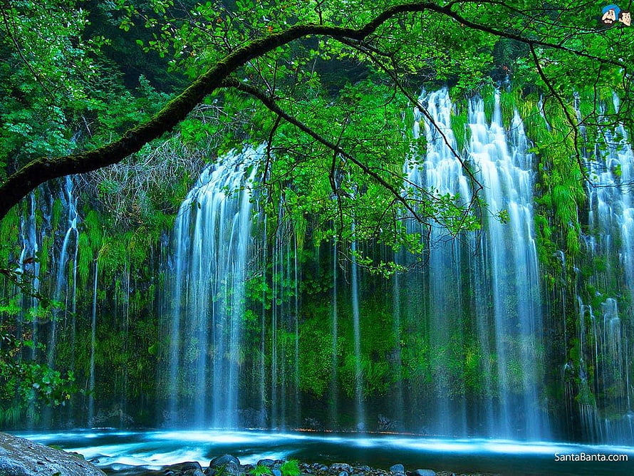 Lush Green Waterfall Cascading Through Dense Forest Foliage HD wallpaper