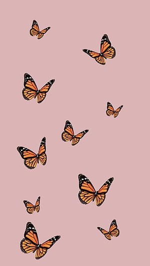 Monarch butterflies scattered across a soft pink background in a minimalist aesthetic style HD phone wallpaper