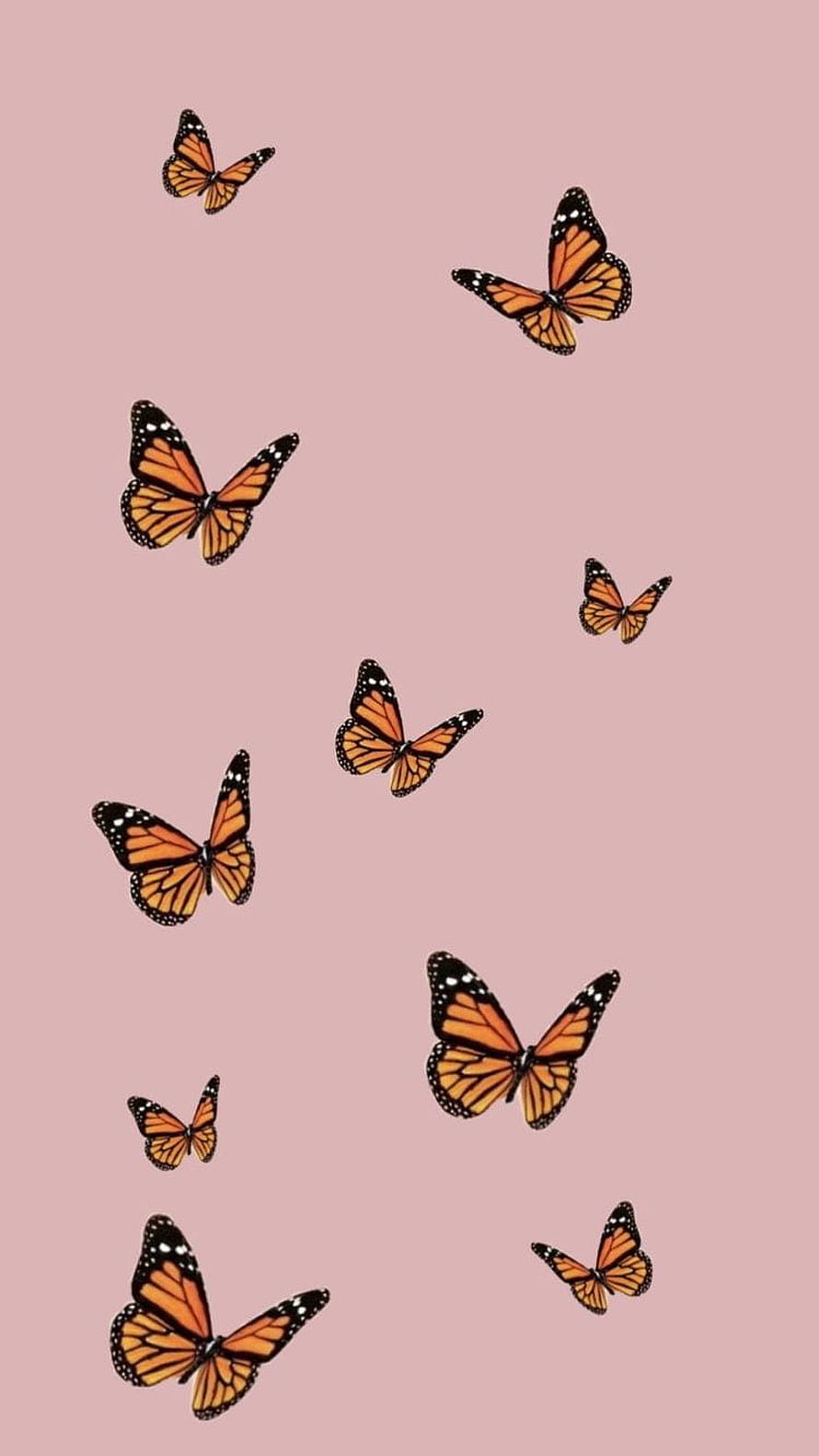 Monarch butterflies scattered across a soft pink background in a minimalist aesthetic style HD phone wallpaper