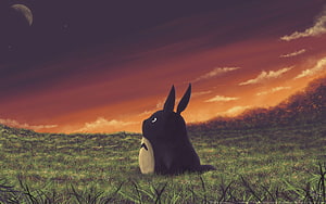 Black Totoro Sitting in a Grass Field Under a Dramatic Sunset Sky HD wallpaper