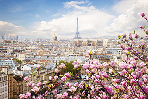 Paris Cityscape with Eiffel Tower and Spring Blossoms HD wallpaper