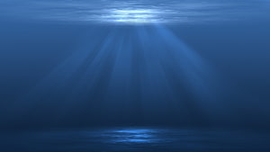 Sunlight Beams Piercing Deep Blue Ocean Water Underwater Scene HD wallpaper