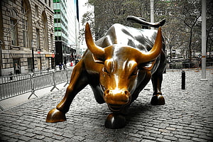 Charging Bronze Bull Statue on Cobblestone Plaza in Financial District HD wallpaper