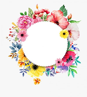 Watercolor Floral Circle Frame with Pink Roses and Yellow Blooms on White Background HD phone wallpaper