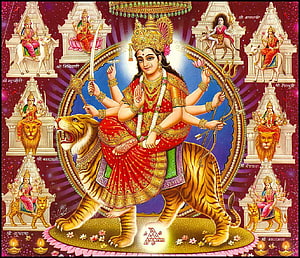 Maha Durga Riding Tiger with Eight Arms and Nine Forms of Goddess Durga HD wallpaper