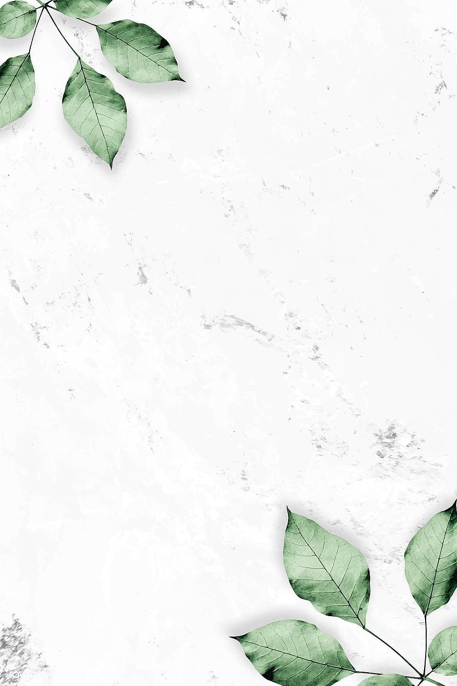 Minimalist Green Leaves on White Marble Textured Background HD phone wallpaper
