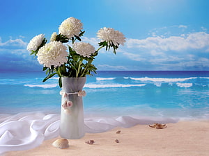 White Chrysanthemums in a Frosted Vase on a Tropical Beach with Ocean Waves and Seashells HD wallpaper