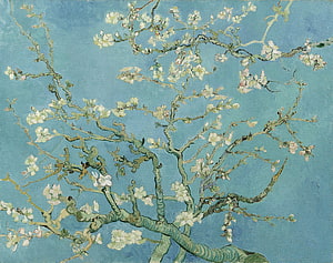 Van Gogh Almond Blossoms Painting with White Flowers on Blue Background HD wallpaper