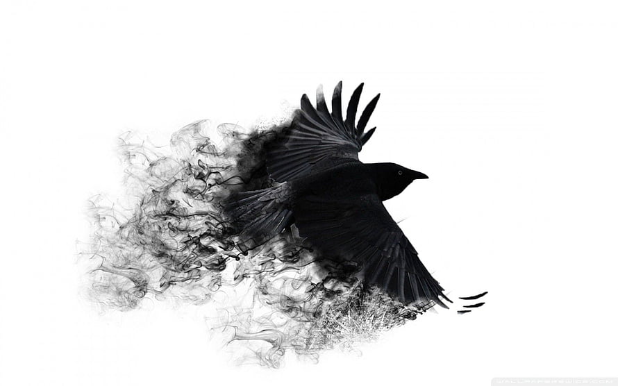 Black Crow Dissolving Into Ink Smoke Against White Background HD wallpaper