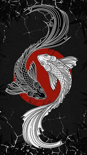 Yin Yang Koi Fish Illustration with Red Sun on Black Background HD phone wallpaper