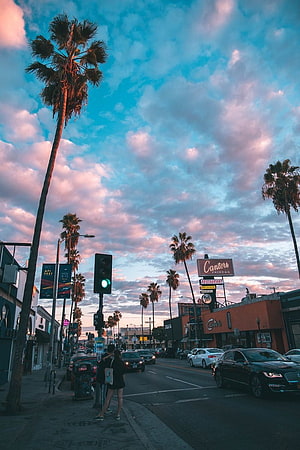 Los Angeles Sunset Street Scene With Palm Trees And Cantera Fairfax Sign HD phone wallpaper