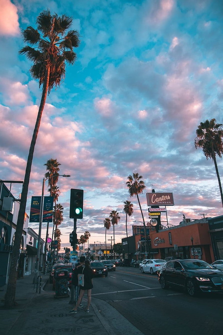 Los Angeles Sunset Street Scene With Palm Trees And Cantera Fairfax Sign HD phone wallpaper