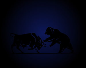 Bull and Bear Silhouettes Confronting on a Dark Blue Background HD wallpaper