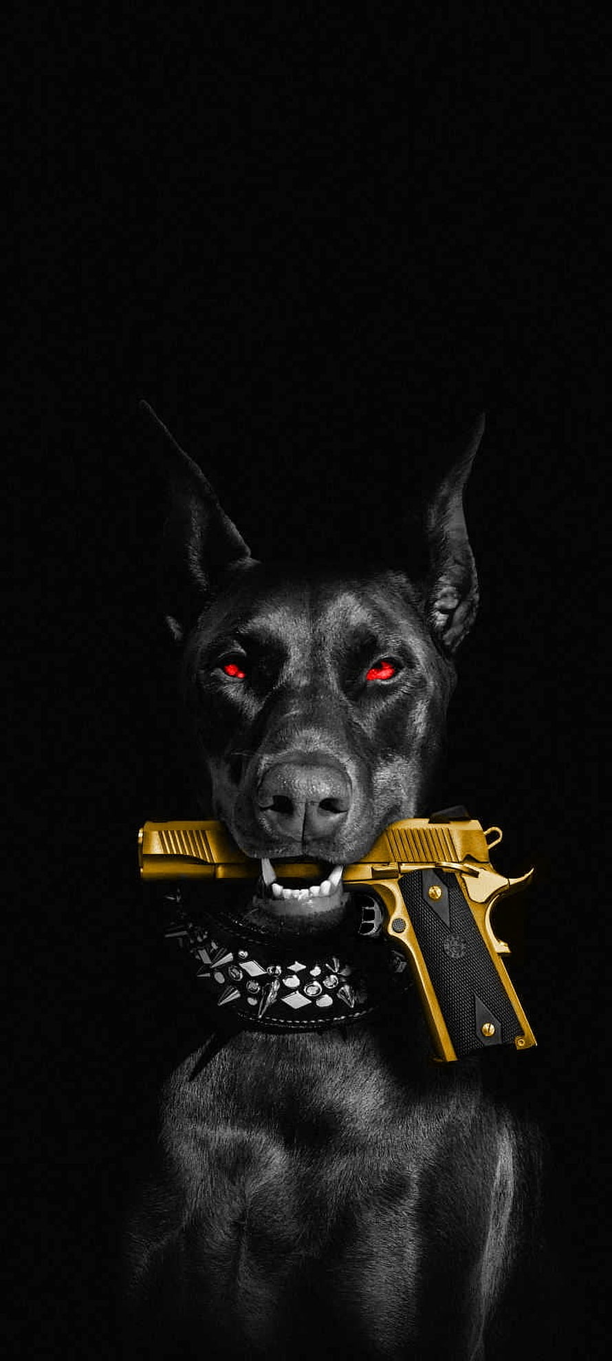 Black Doberman with glowing red eyes holding a gold pistol in its mouth against a dark background, Dog with gun, whiskers, collar HD phone wallpaper