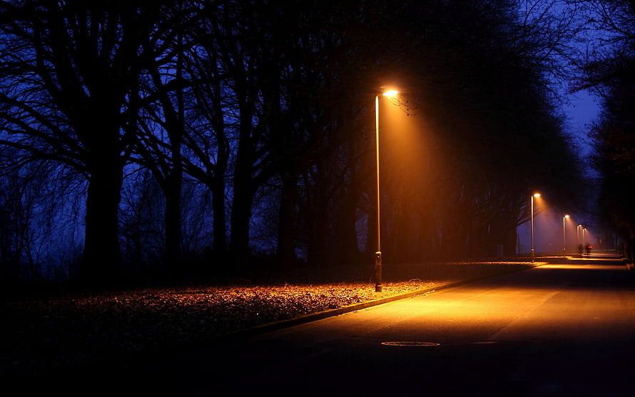 Moody Night Street Scene With Glowing Streetlights And Bare Trees HD wallpaper