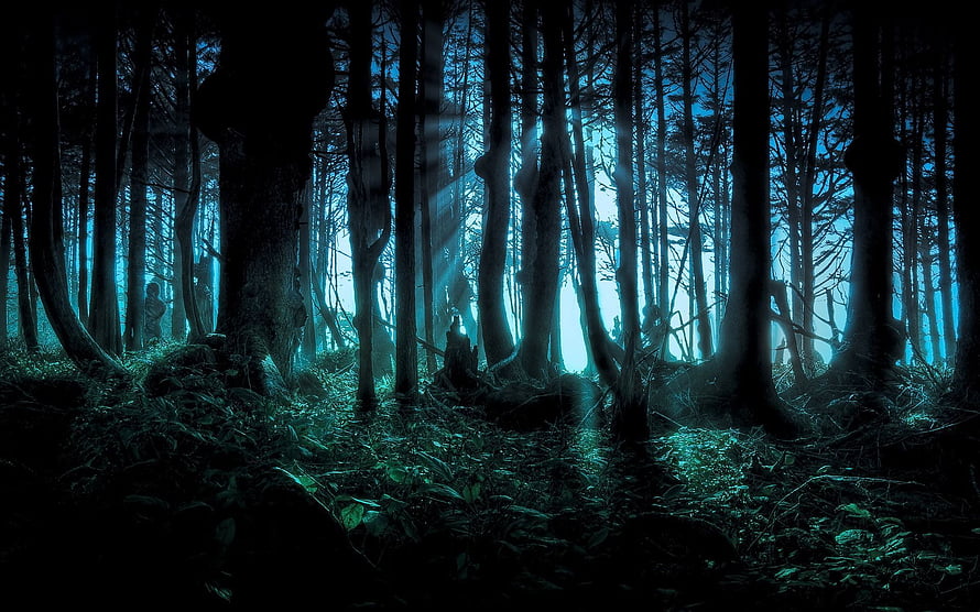Mystical Dark Forest With Ethereal Light Beams And Enchanted Atmosphere HD wallpaper
