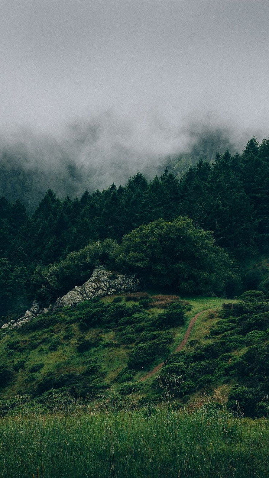 Misty Mountain Forest Landscape with Winding Trail and Rocky Outcrop HD phone wallpaper