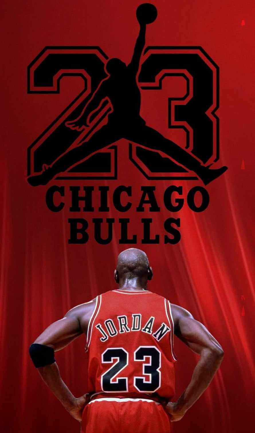 Michael Jordan Chicago Bulls 23 Red Jersey Back View with Jumpman Logo HD phone wallpaper