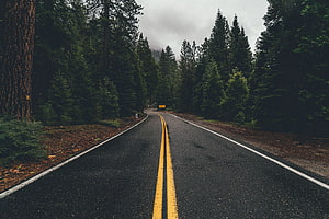 Moody Forest Road Winding Through Dense Evergreen Trees Under Overcast Sky HD wallpaper