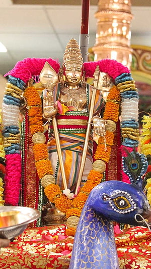 Thiruchendur Murugan Temple Deity Adorned With Marigold Garlands And Peacock HD phone wallpaper