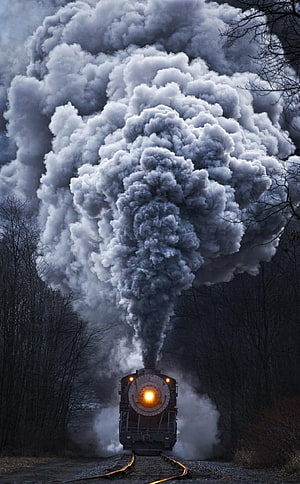 Steam Locomotive Billowing Smoke Through a Dark Forest HD phone wallpaper